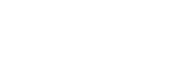Veterans Airlift Command logo